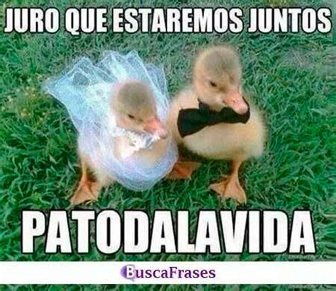 memes sexuales para tu pareja|Los mejores chistes de amor para enamorar a tu pareja